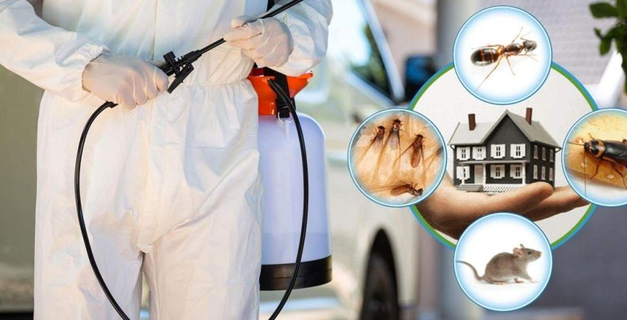 Karayazı Böcek İlaçlama