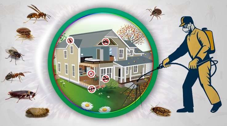 Karayazı Böcek İlaçlama