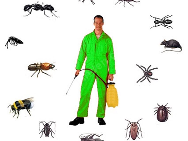 Karayazı Böcek İlaçlama